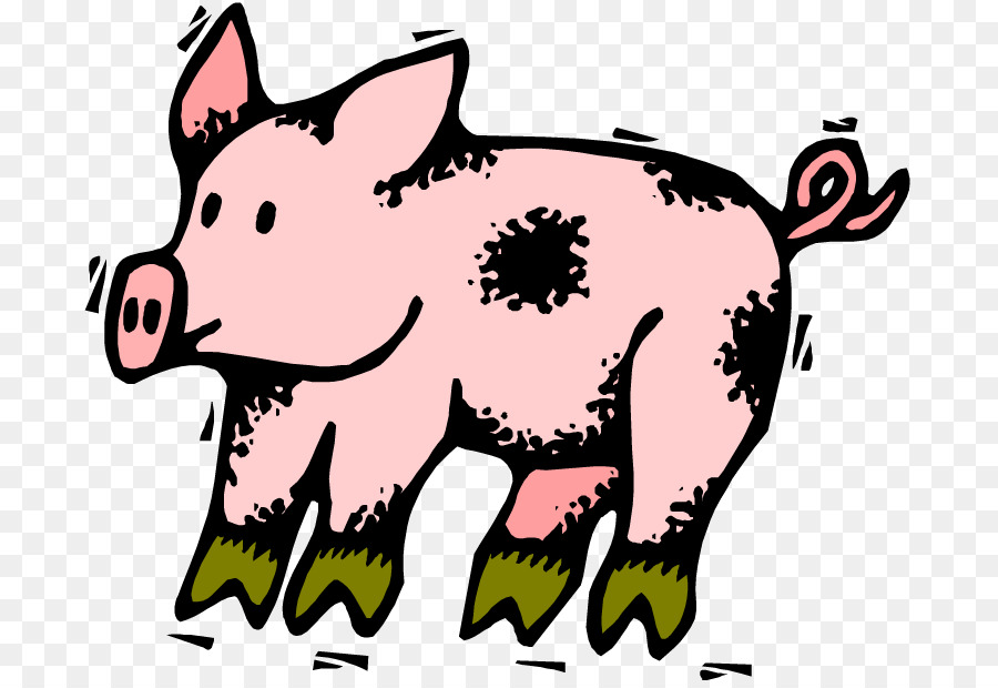 Cochon，Dessin PNG