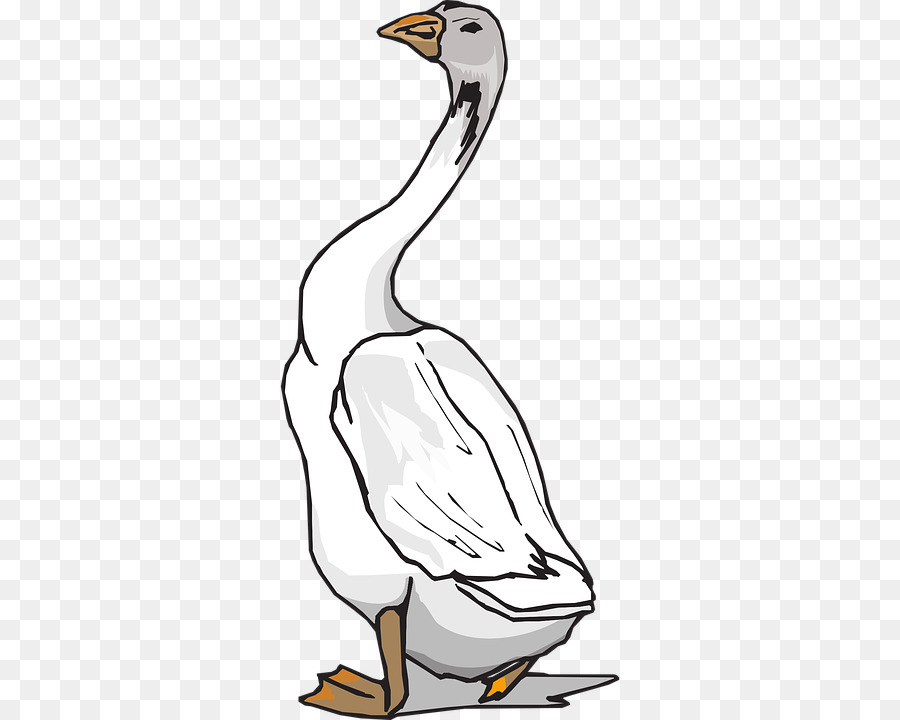 Canard，Oiseau PNG