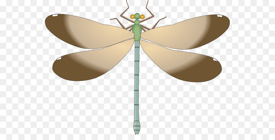 Papillon De Dessin Animé，Ailes PNG