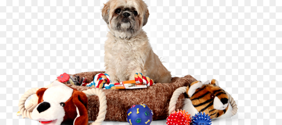 Chien，Jouets PNG