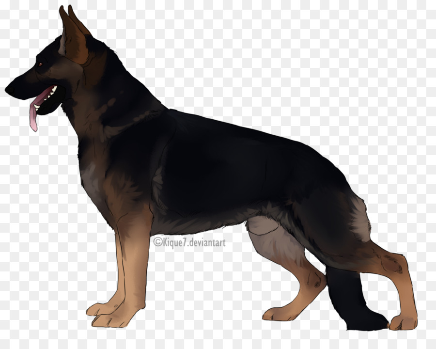 Chien，Animal De Compagnie PNG