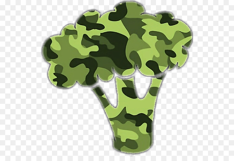 Brocoli Camouflage，Brocoli PNG