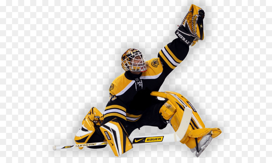Les Bruins De Boston，La Ligue Nationale De Hockey PNG