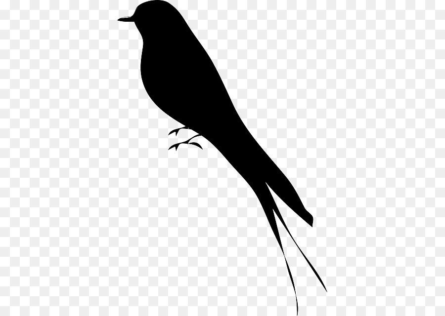 Oiseau Silhouette Dessin Png Oiseau Silhouette Dessin Transparentes Png Gratuit