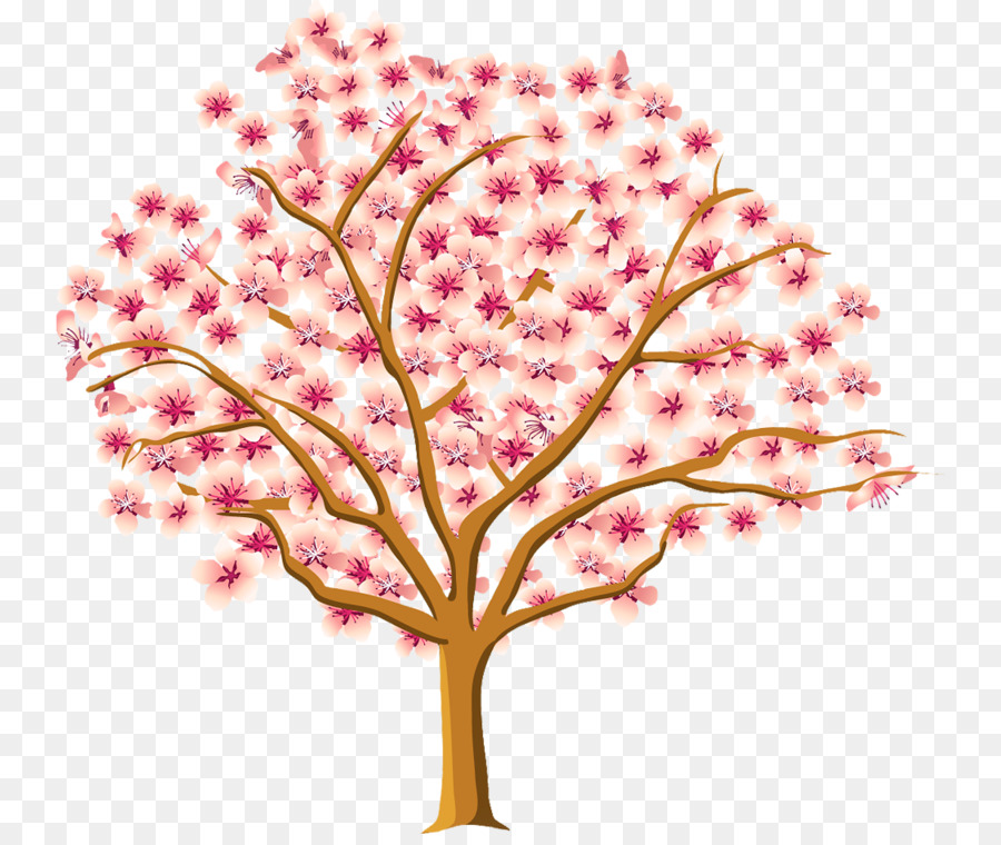 Arbre à Fleurs De Cerisier，Fleurs PNG