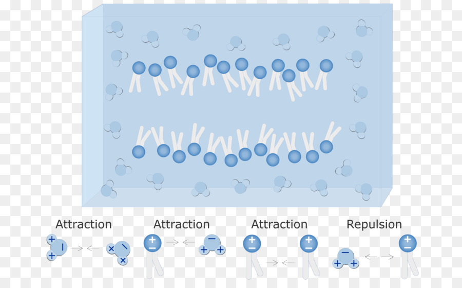 Molécules，Attirance PNG