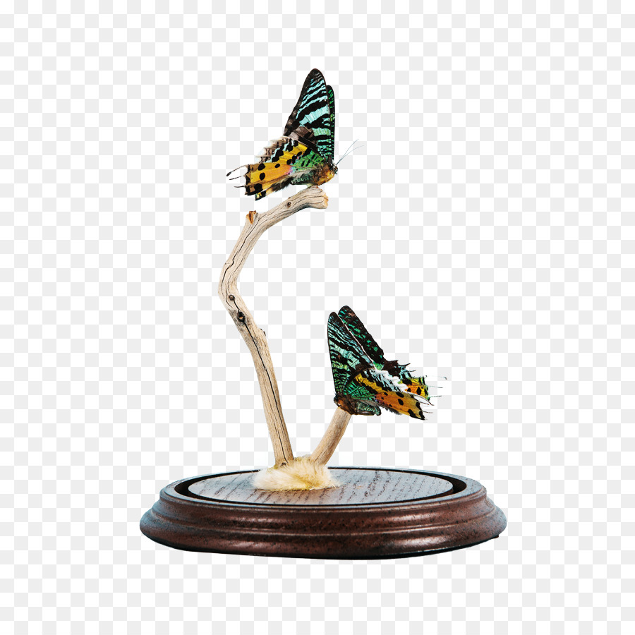Figurine，Papillons Et Papillons PNG