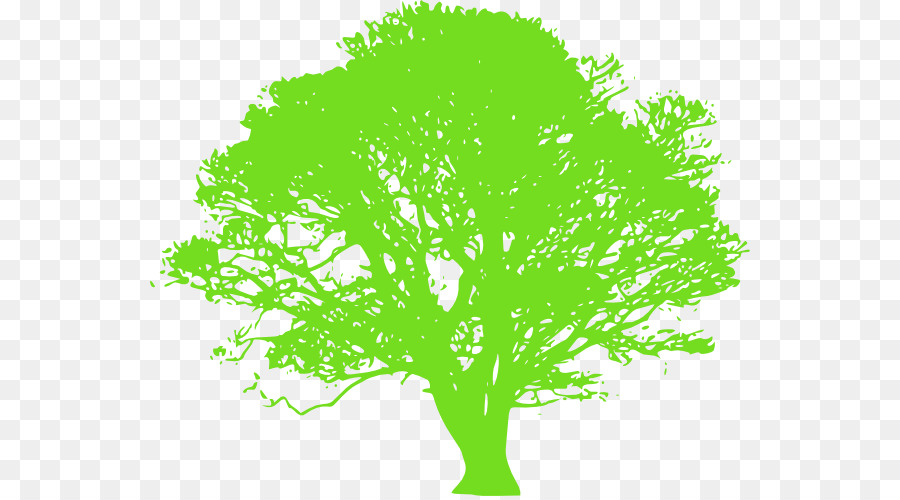 Arbre，Succursales PNG