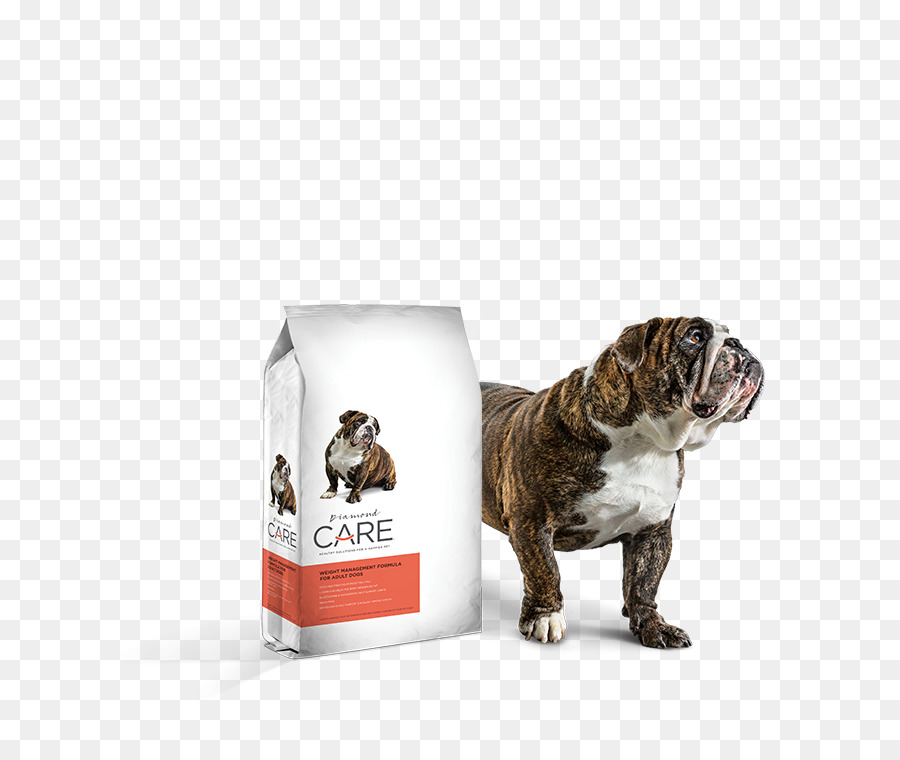 Race De Chien，Bouledogue PNG