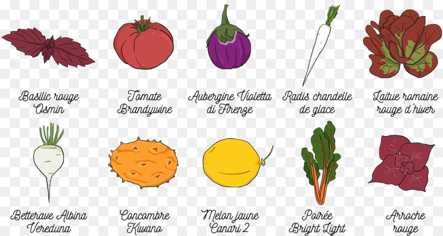 Légumes，Fruits PNG