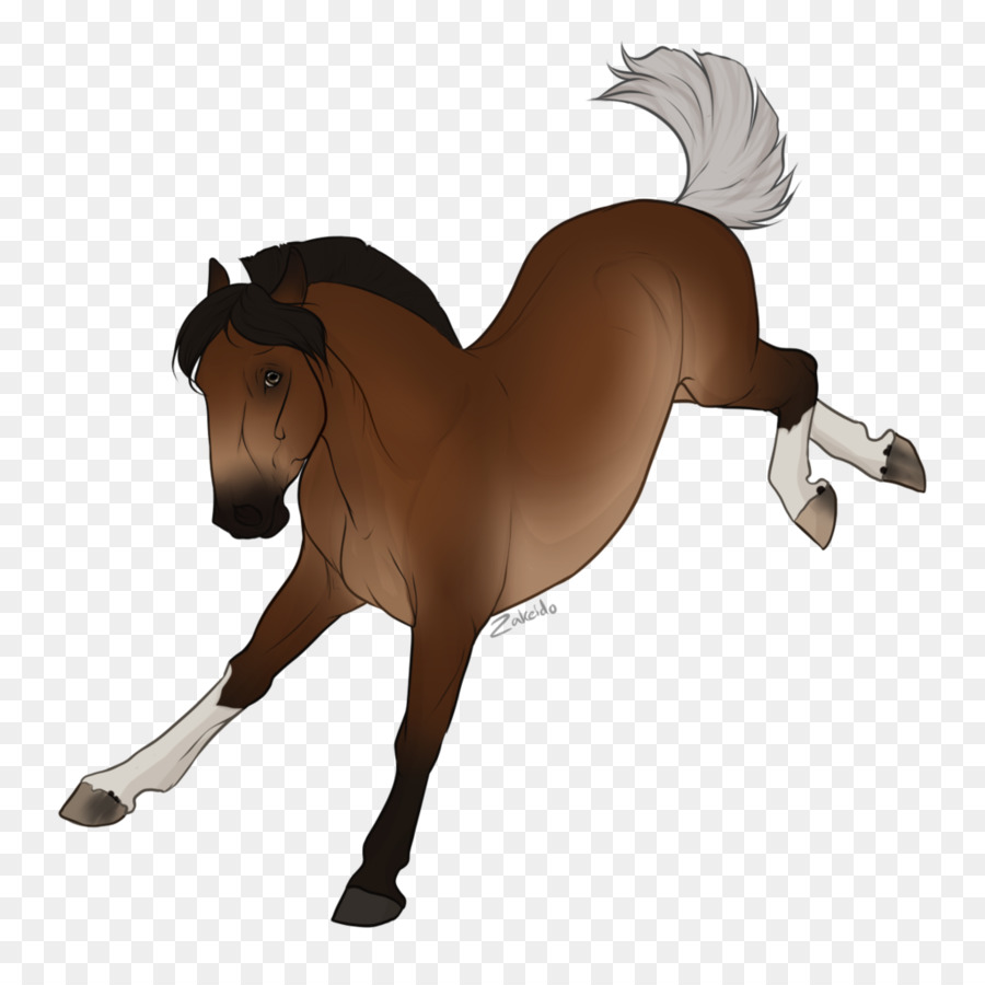 Cheval Qui Court，Animal PNG