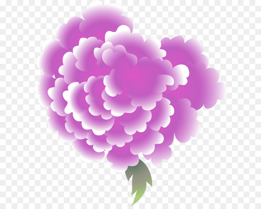 Pivoine，Art Floral PNG