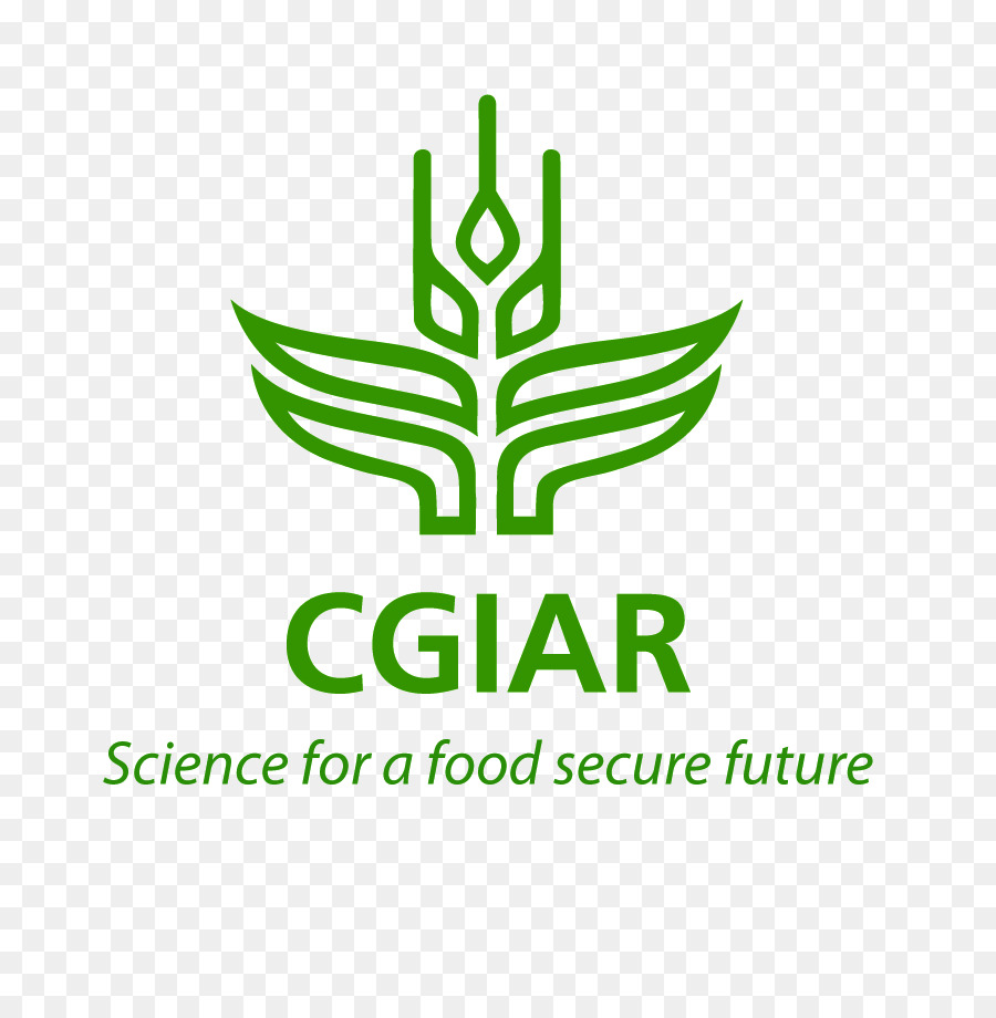 Gcrai，Logo PNG