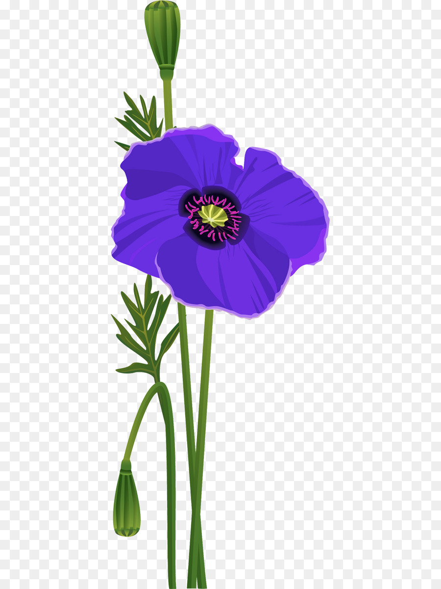 Fleur，Tige PNG