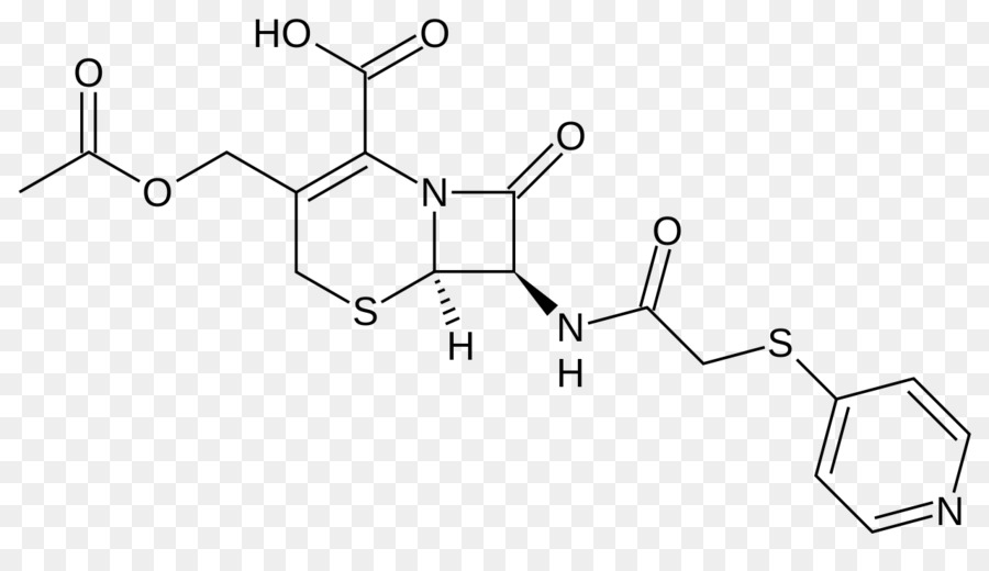 La Céfazoline，Cefadroxil PNG