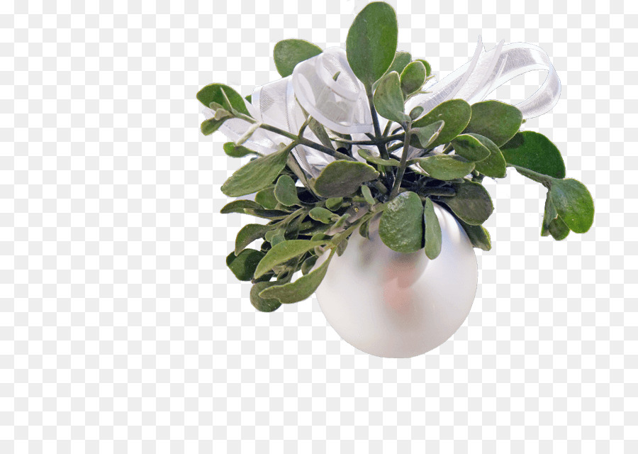 Flowerpot，Feuille PNG