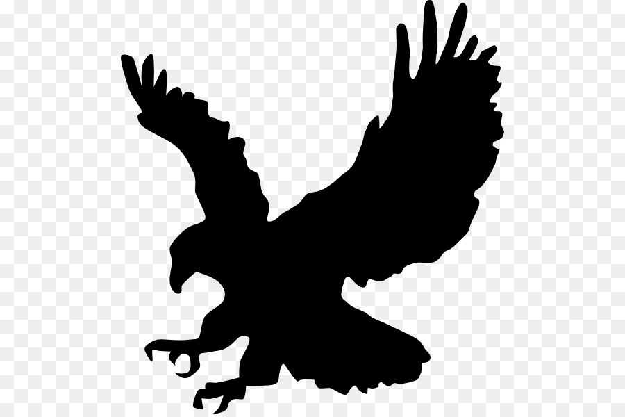 Aigle Silhouette，Faucon PNG