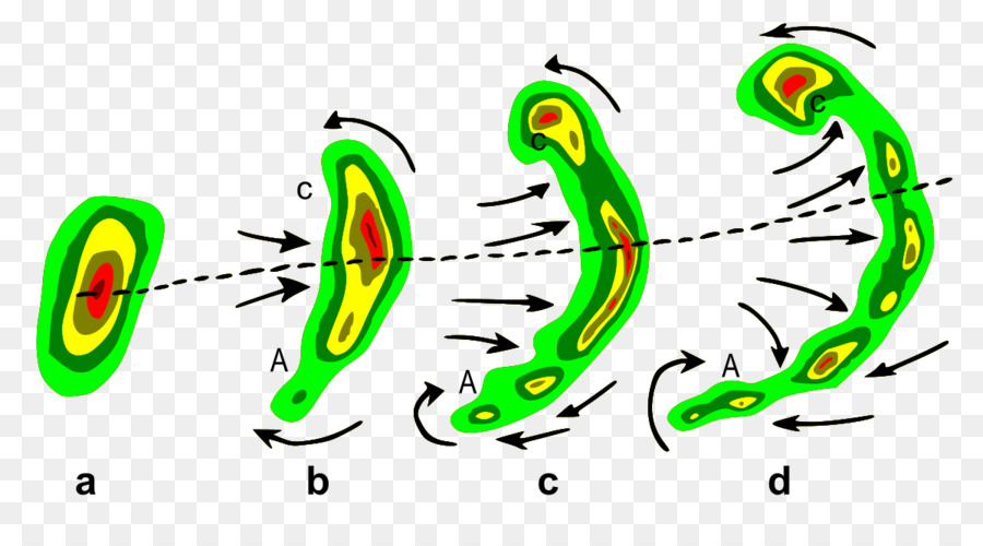 Diagramme Vortex，Vortex PNG