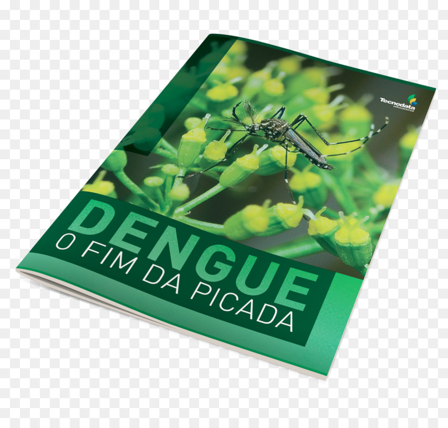 La Dengue，Maladies Infectieuses PNG