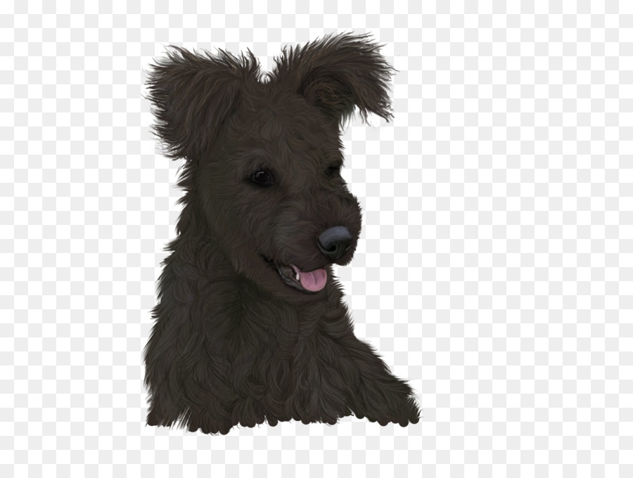 Glen，Terrier écossais PNG