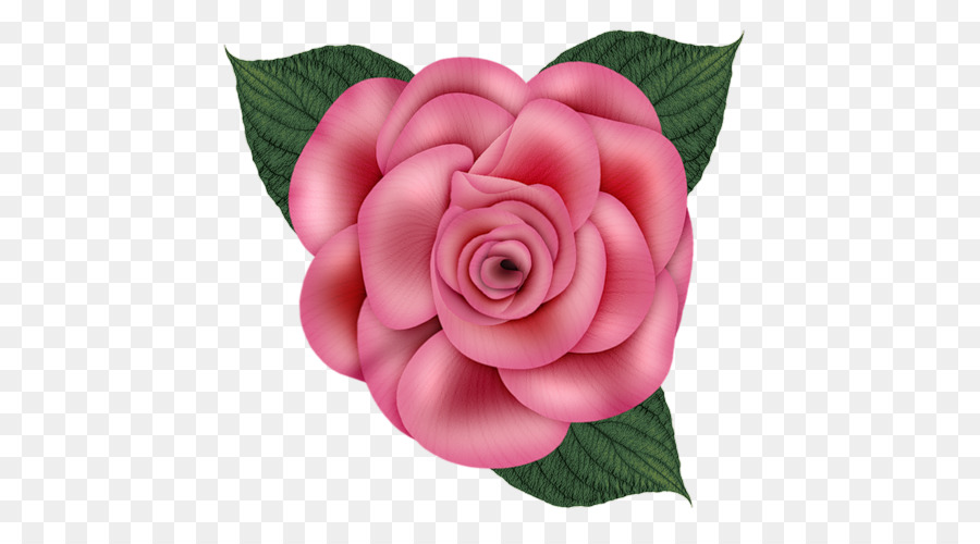 Fleur Rose，Fleurir PNG