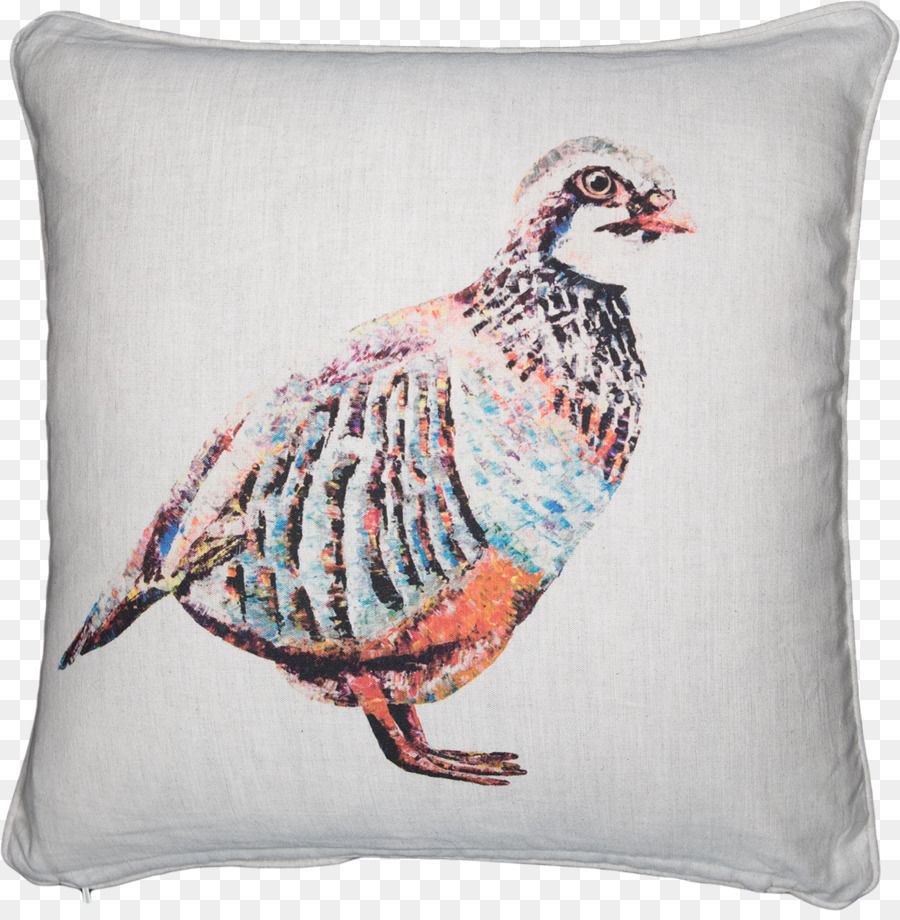 Coussin，De La Porcelaine De Chine PNG