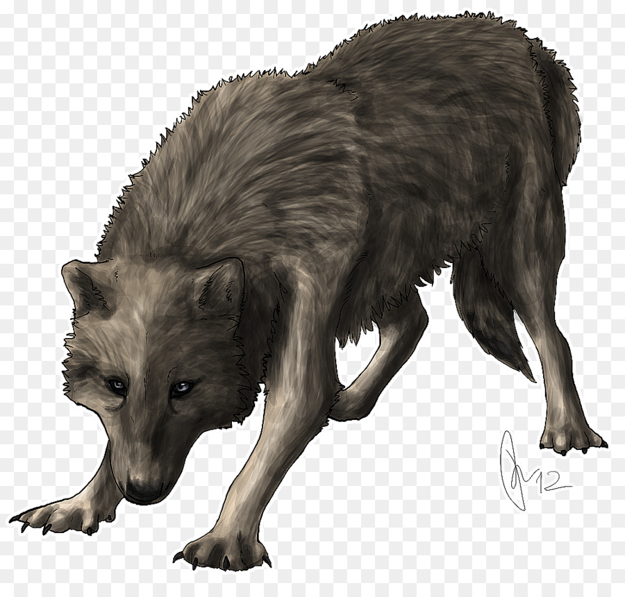 Loup，Sauvage PNG