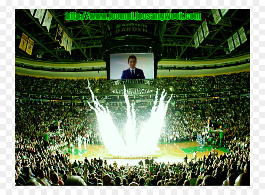 Boston Celtics，De Basket Ball PNG