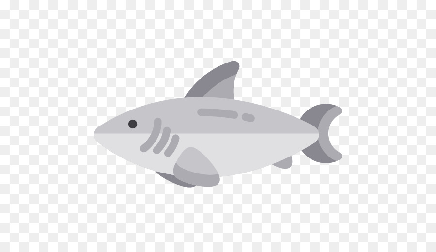 Requin，Ordinateur Icônes PNG