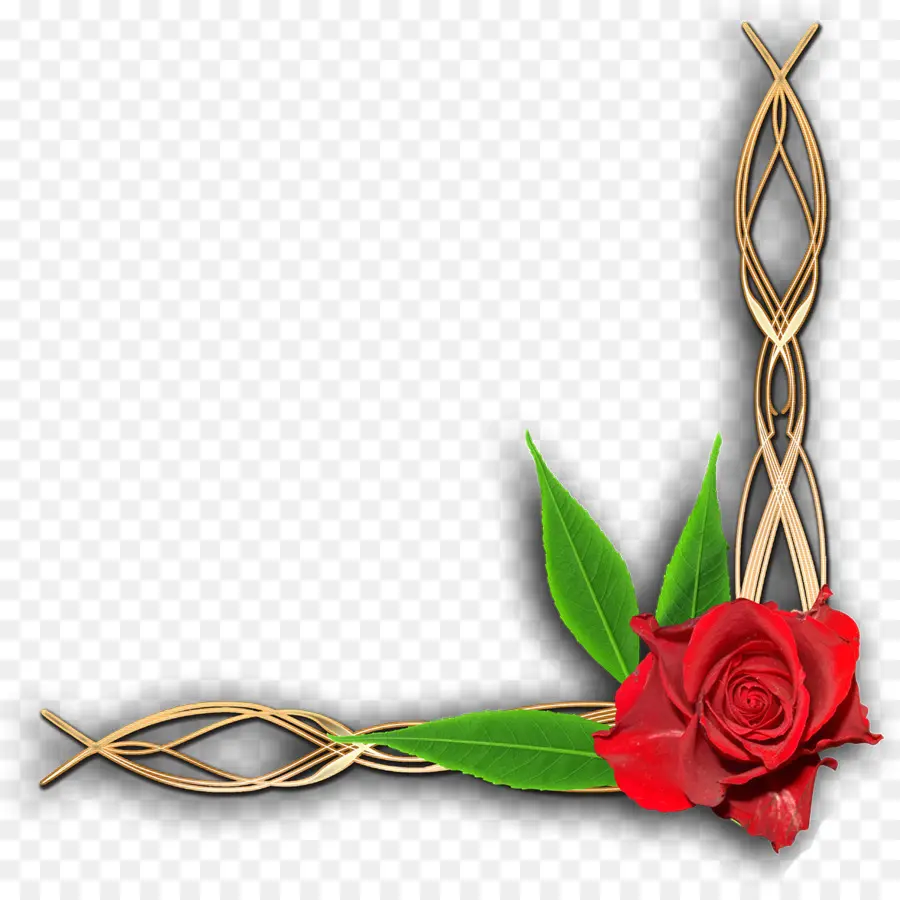 Coin Des Roses，Fleur PNG