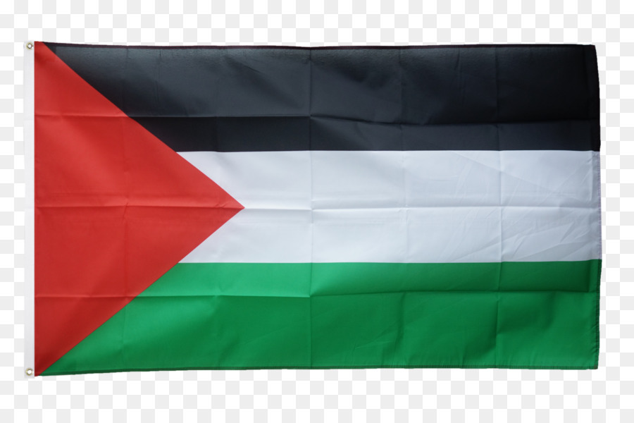État De La Palestine，Drapeau PNG