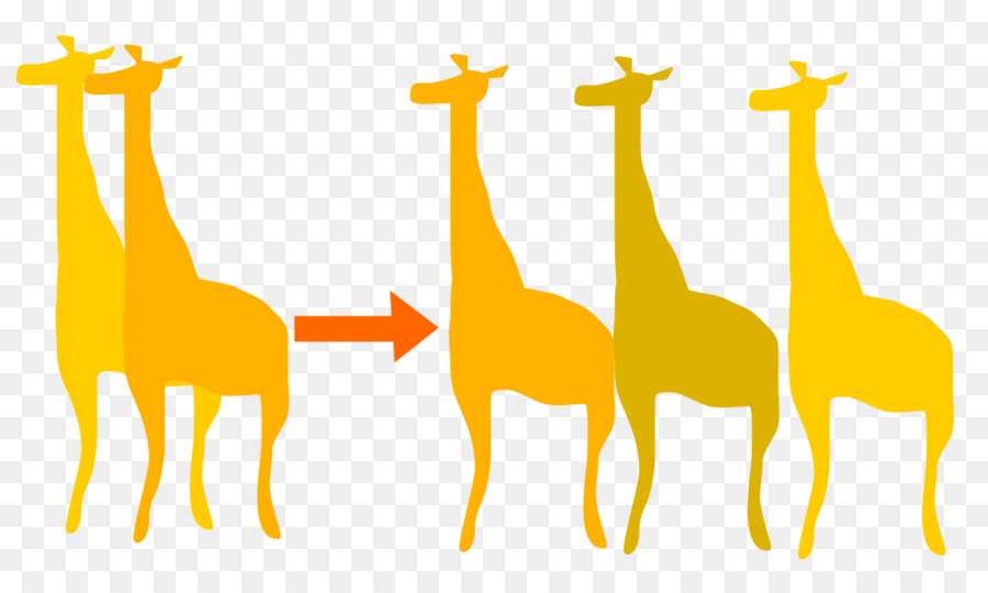 Girafe，L évolution PNG