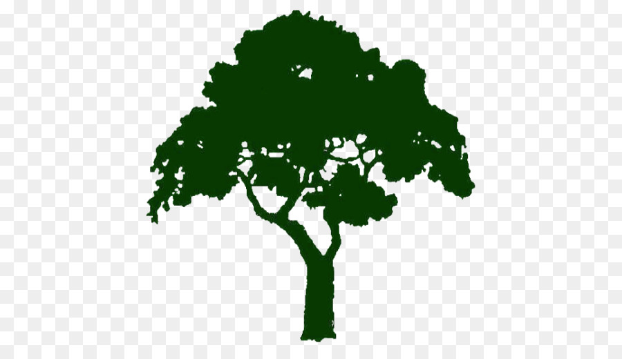 Arbre，Vert PNG