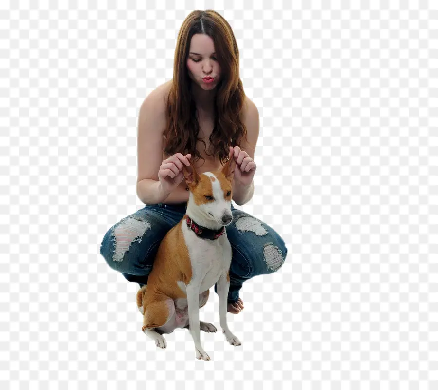 Femme Avec Chien，Chien PNG