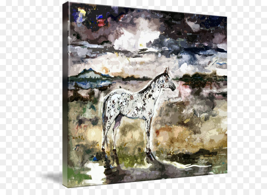 Mustang，Appaloosa PNG