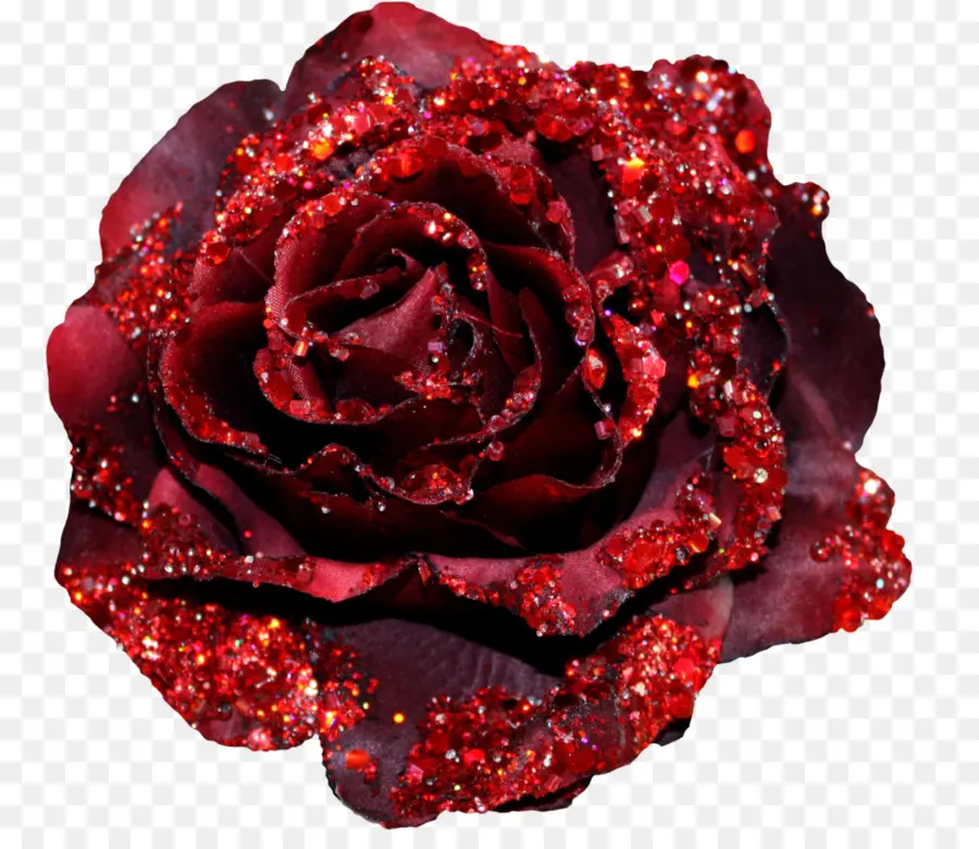 Rose Rouge，Rose PNG