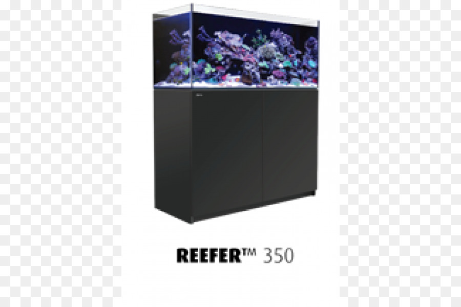 De La Mer Rouge，Aquarium Récifal PNG