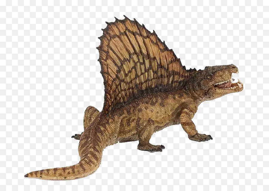 Le Tyrannosaure，Spinosaurus PNG