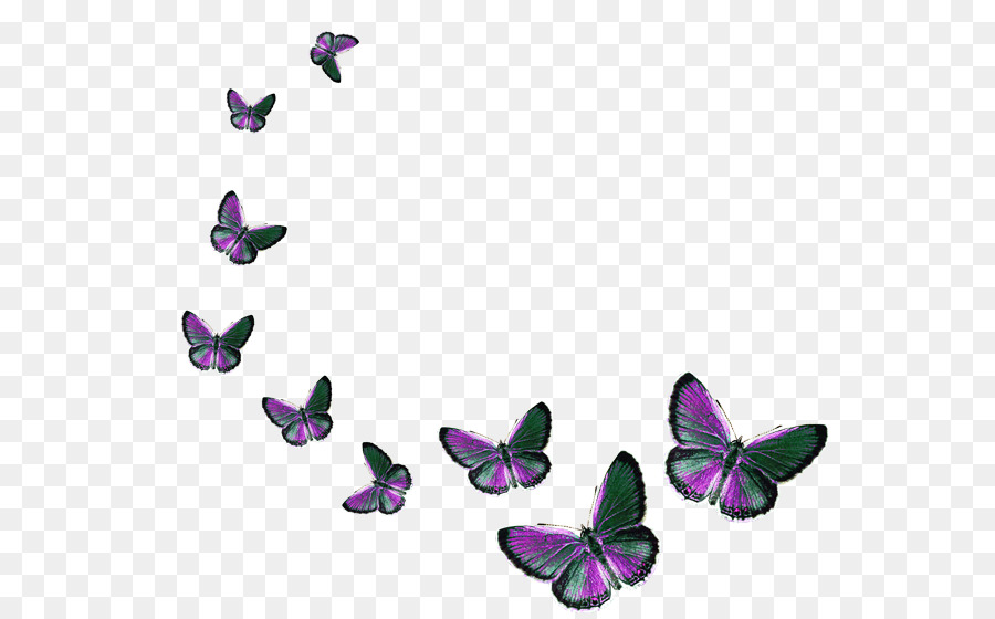 Papillon，Peinture PNG