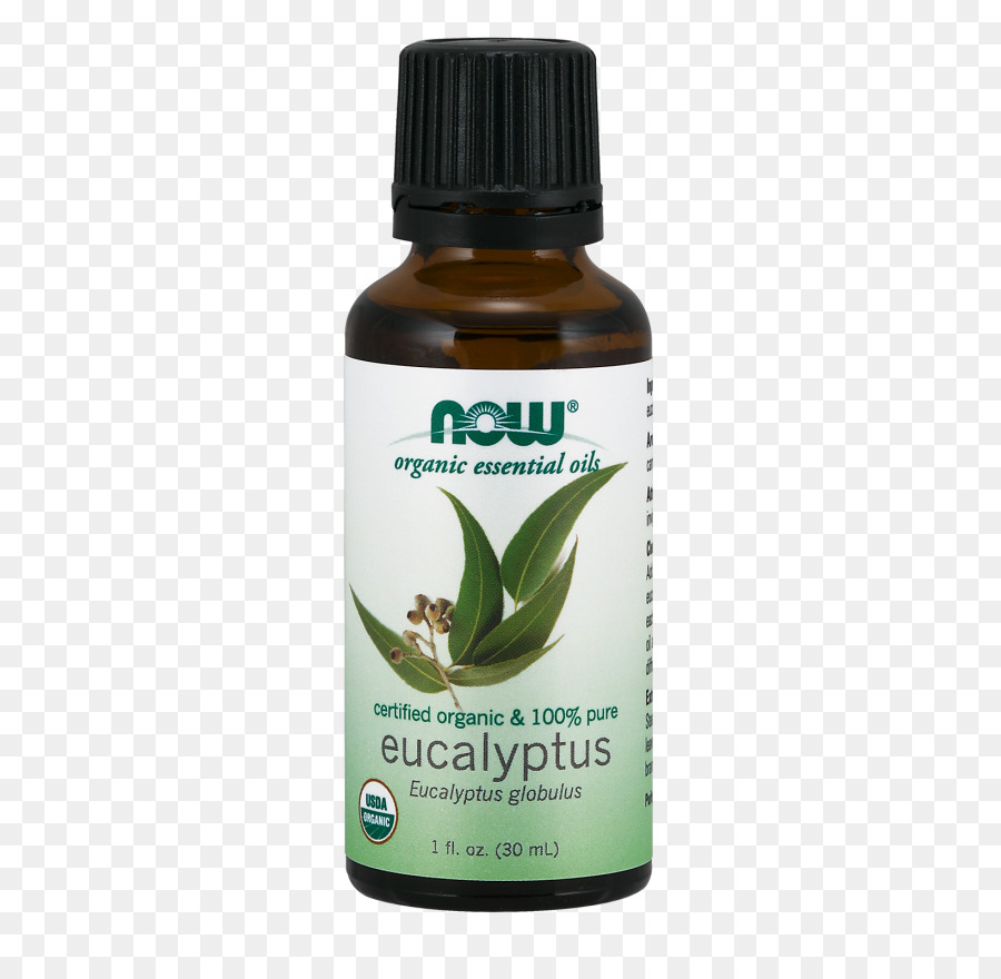 Huile D'eucalyptus，Essentiel PNG