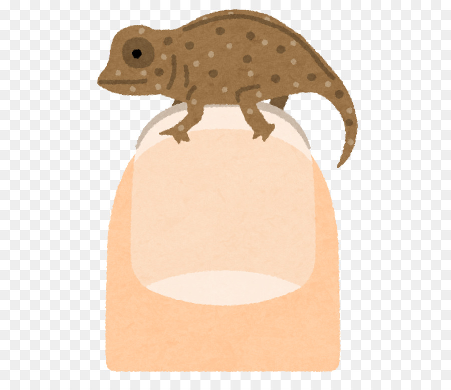 Reptile，Pour Les Animaux Terrestres PNG