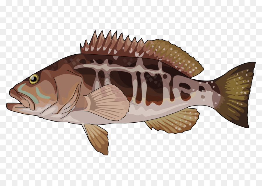 Patauger，Fruit De Mer PNG