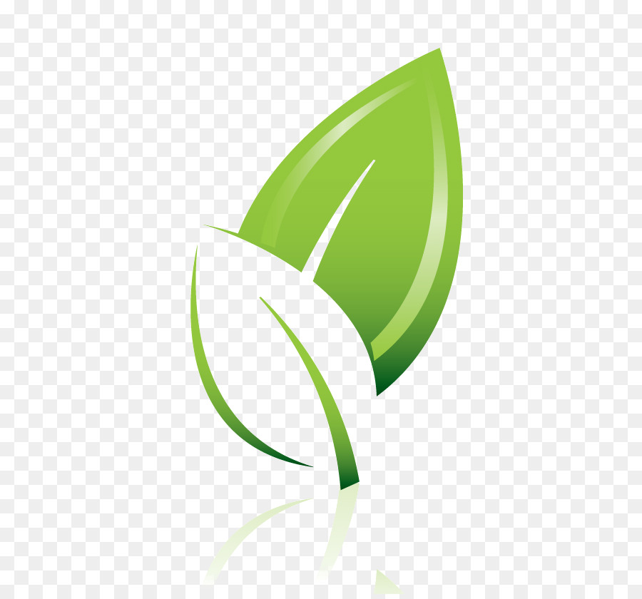 Feuille，Usine PNG