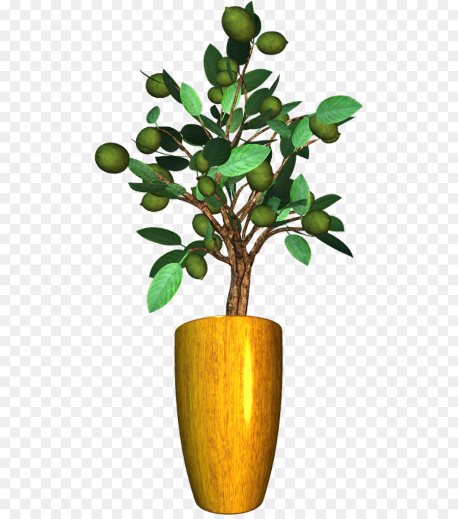 Flowerpot，Plante D Intérieur PNG