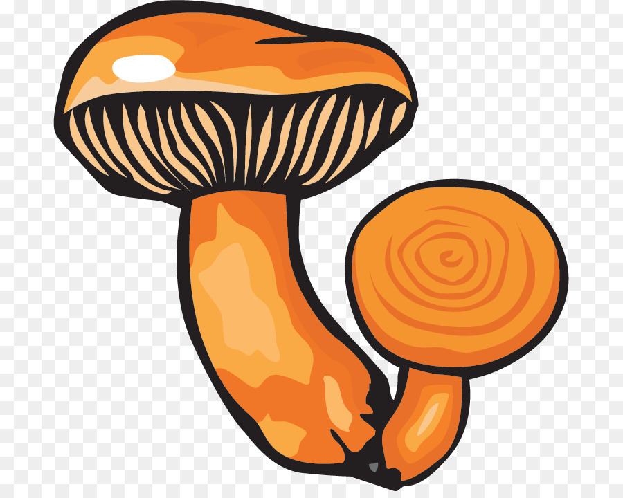 Champignons，Champignon Comestible PNG