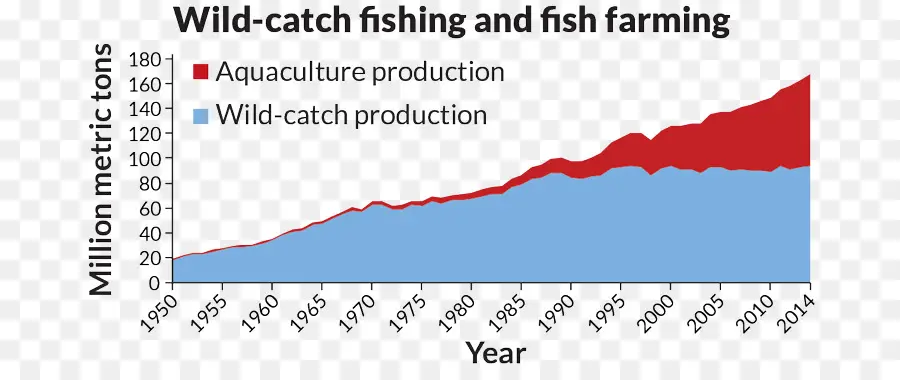 Pêche，Aquaculture PNG