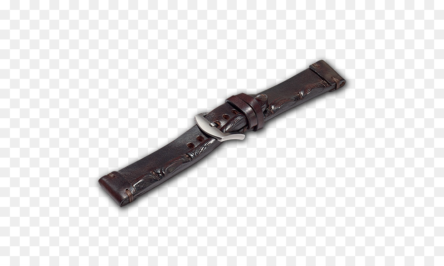 Regarder，Bracelet De Montre PNG