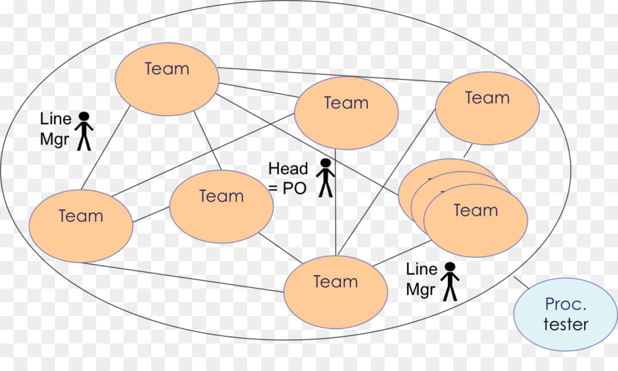 Organisation，Scrum PNG