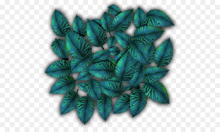 Turquoise，Feuille PNG