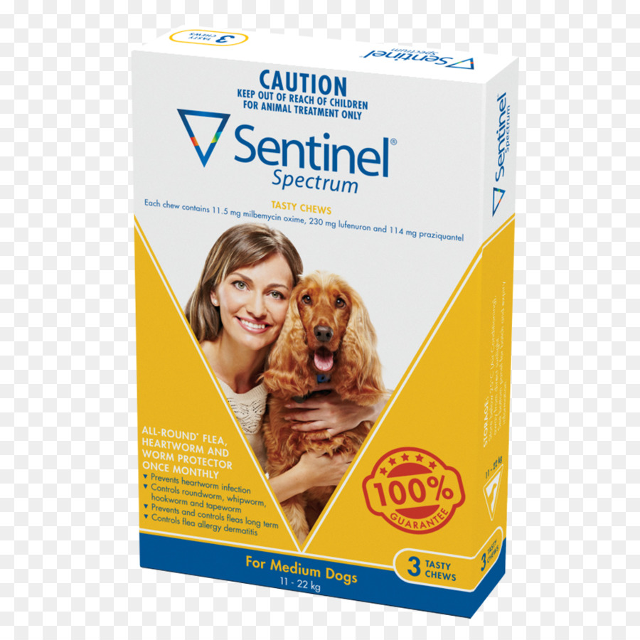 Chien，Le Ver Du Cœur PNG